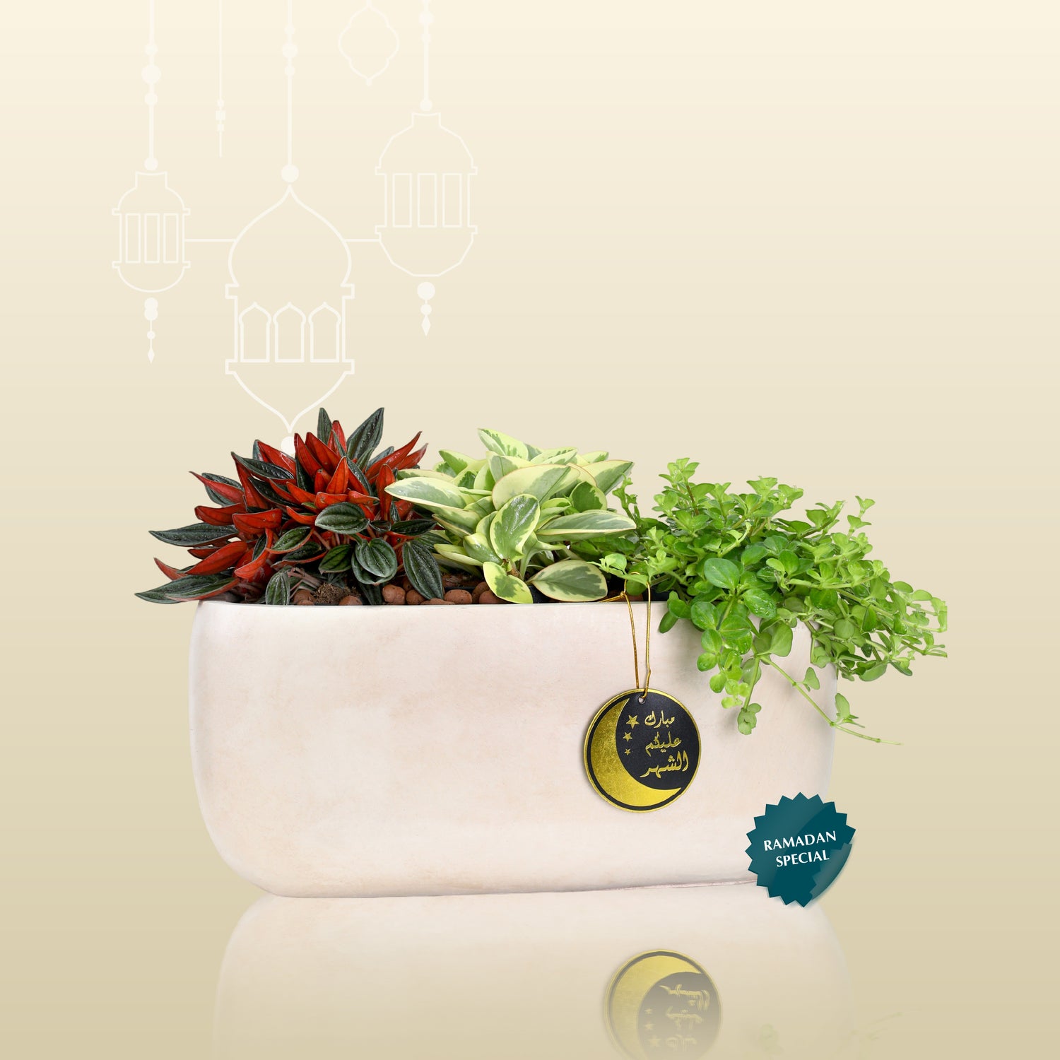 MINI PLANTS RAMADAN GIFT SET