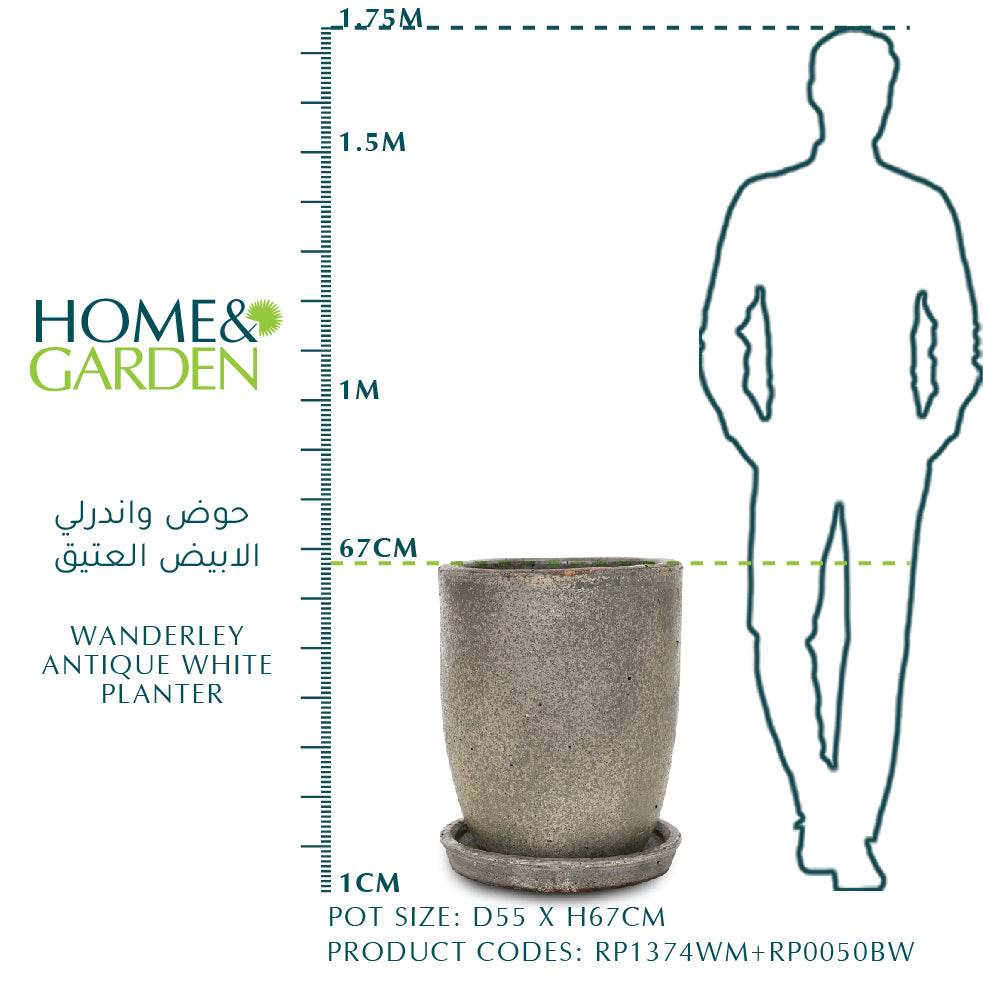 WANDERLEY ANTIQUE WHITE PLANTER مع صحن - حوض واندرلي الأبيض العتيق مع صحن