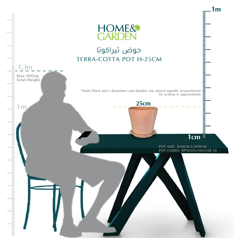 TERRA-COTTA POT H-25cm  حوض تيراكوتا