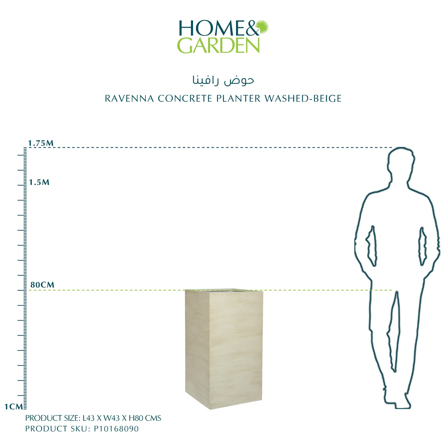  حوض رافينا - بيج 80سم