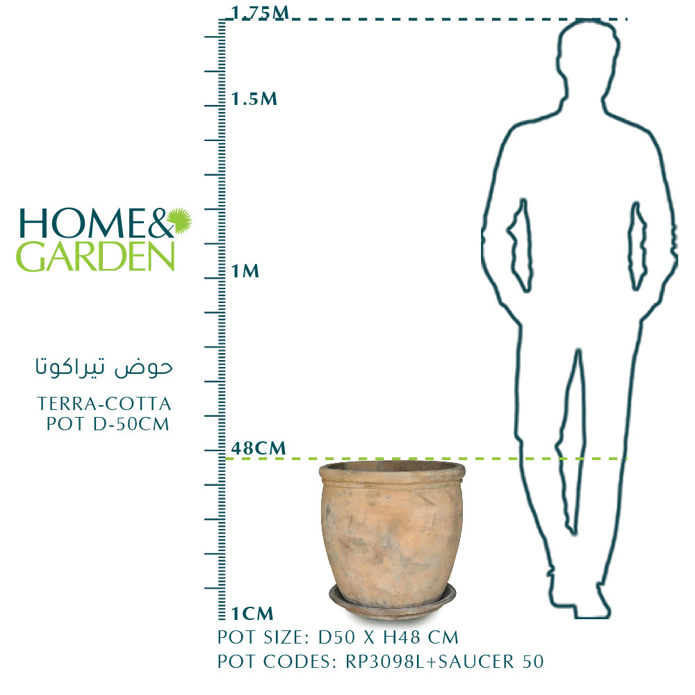 TERRA-COTTA POT D50cm  حوض تيراكوتا