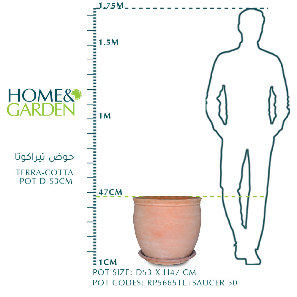 TERRA-COTTA POT D-53cm  حوض تيراكوتا