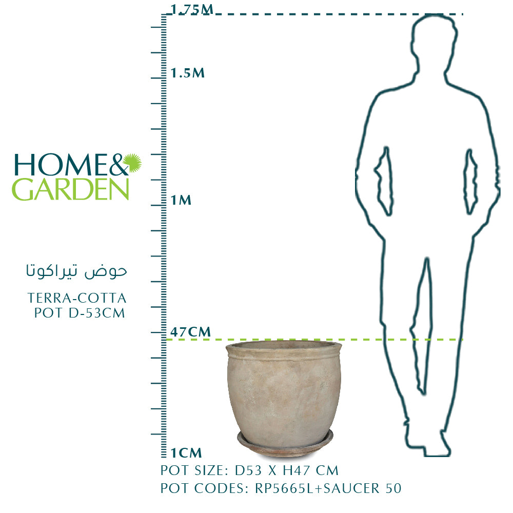 TERRA-COTTA POT D-53cm  حوض تيراكوتا