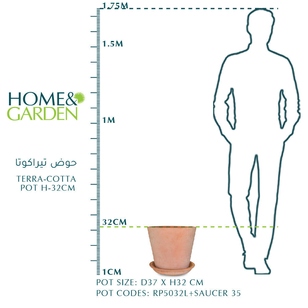 TERRA-COTTA POT H-32cm  حوض تيراكوتا