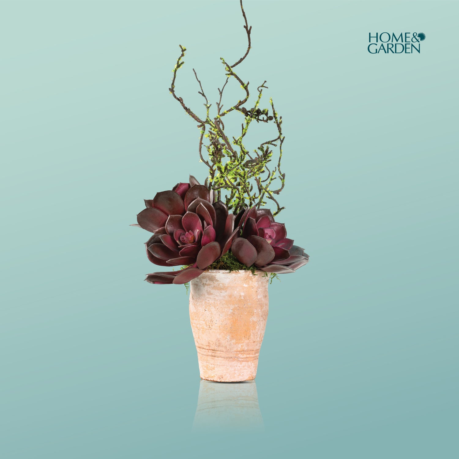 ARTIFICIAL SUCCULENT GIFT PLANT