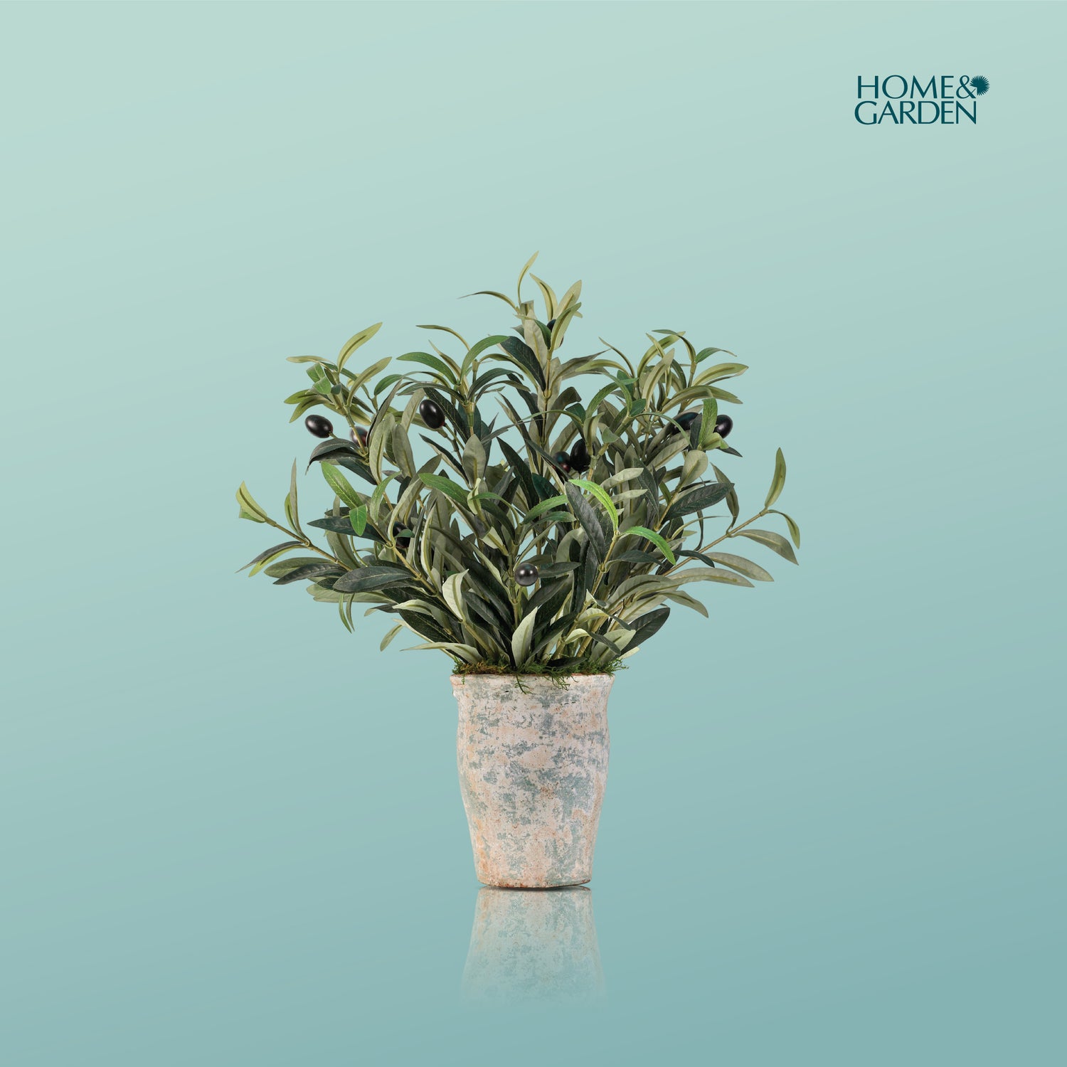 ARTIFICIAL OLIVE GIFT