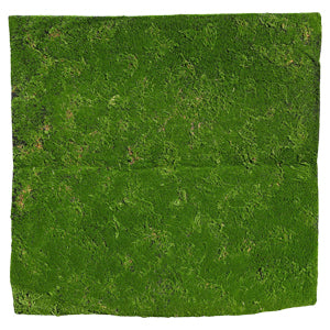 ENIGMA GREEN ARTIFICIAL WALL MOSS (L100xW100CM) - الطحلب الجداري الاصطناعي إنيغما الأخضر (الطول 100 سم × العرض 100 سم)