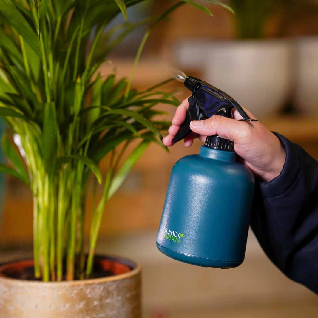 SERVICE & MAINTENANCE