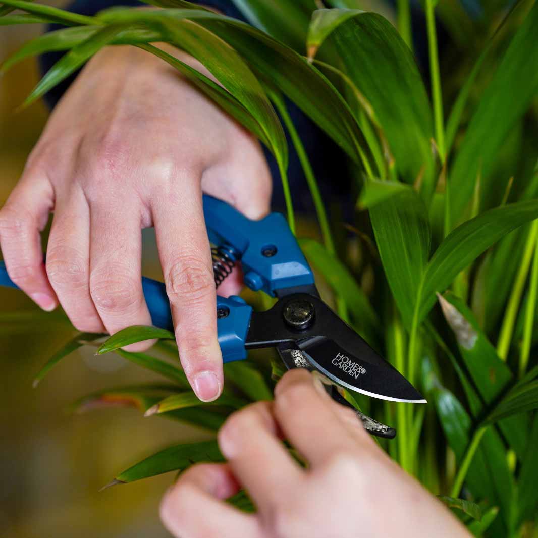 SERVICE & MAINTENANCE