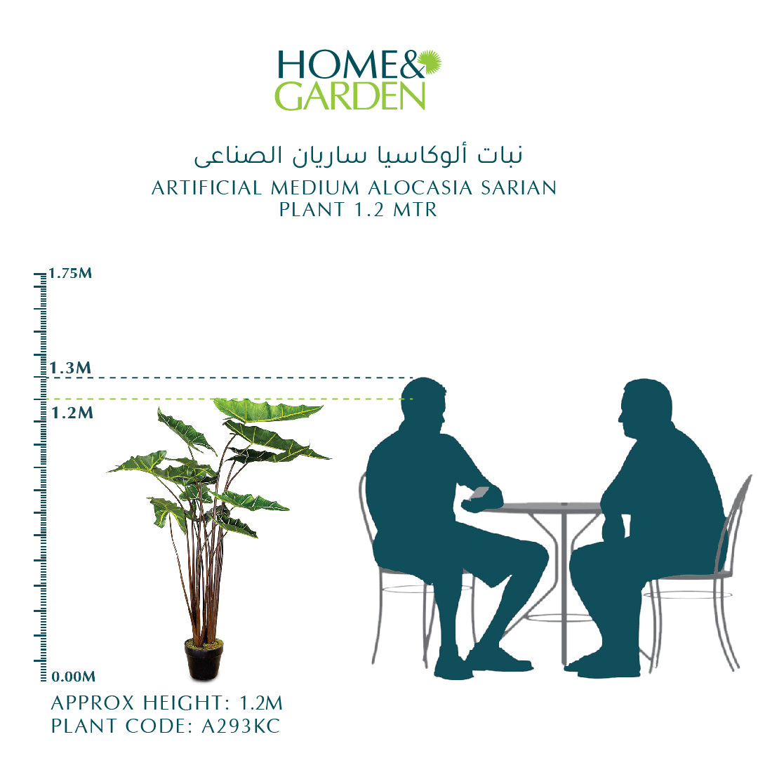 ARTIFICIAL MEDIUM ALOCASIA SARIAN PLANT 1.2 MTR-  الوكاسيا صناعى حجم وسط