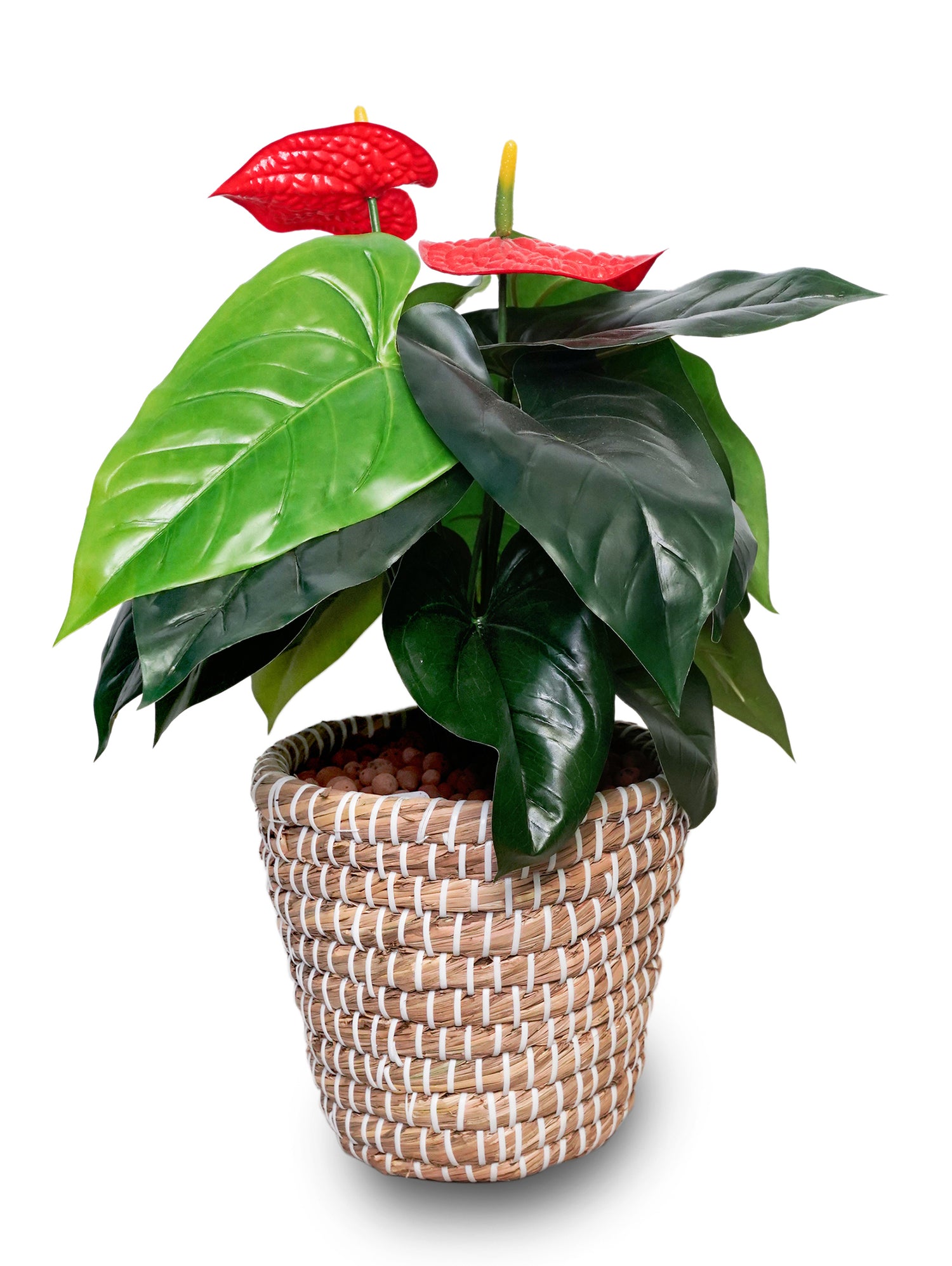 ARTIFICIAL RED ANTHURIUM PLANT IN ROUND NATURAL HANDMADE BASKET-أنثوريوم صناعى ورد احمر  في سلة