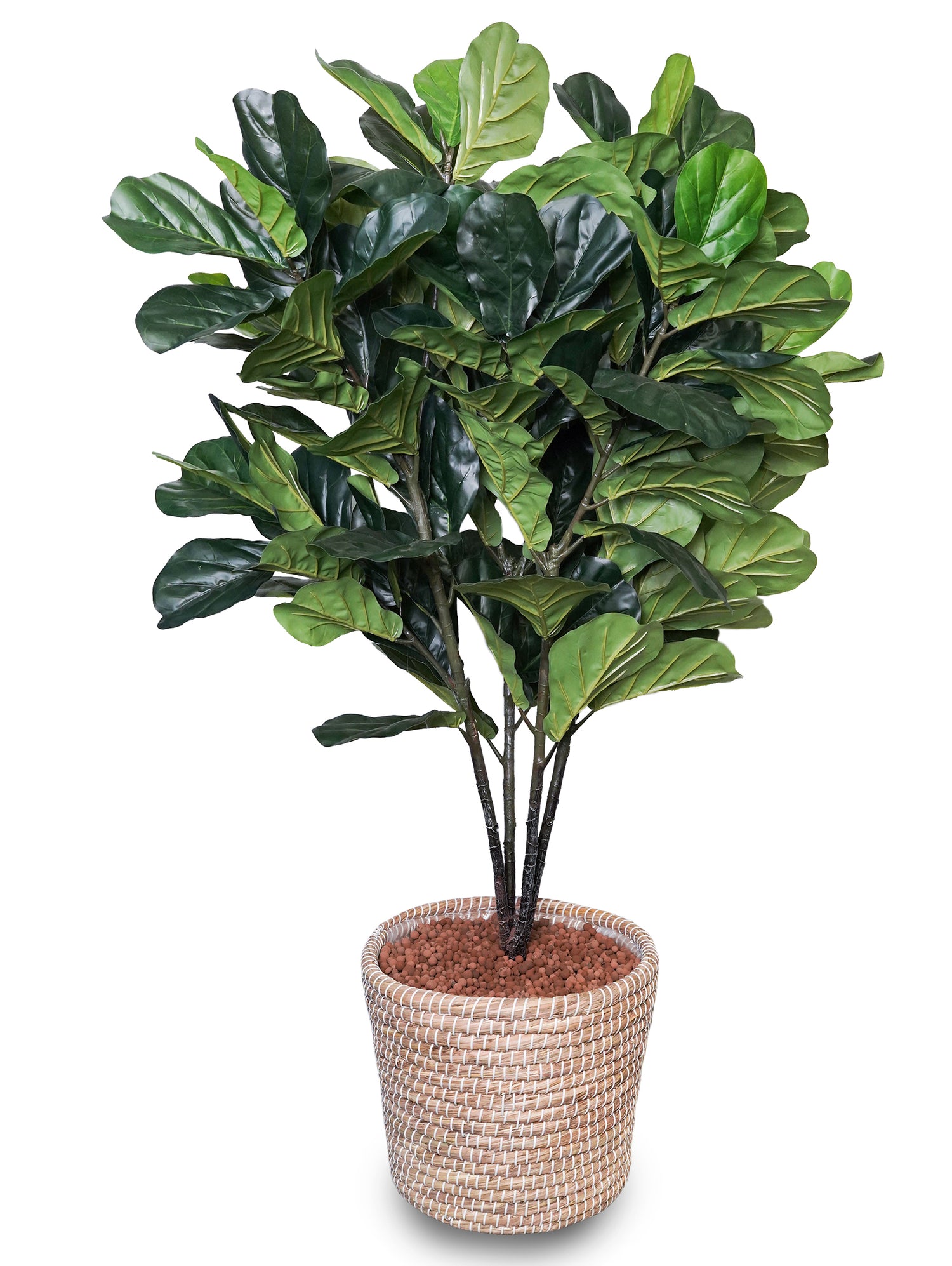 ARTIFICIAL FICUS LYRATA PLANT IN ROUND NATURAL HANDMADE BASKET- فيكس ليراتا صناعى في سلة