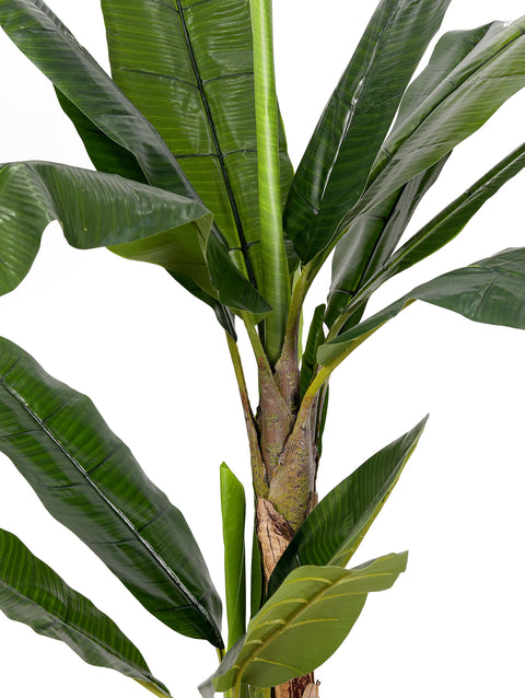 ARTIFICIAL BANANA 2 STEM PLANT-موز صناعى جذع مزدوج