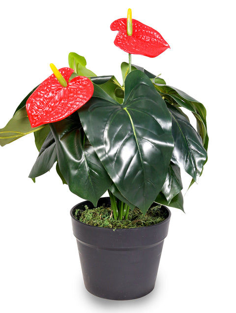 ARTIFICIAL RED ANTHURIUM SMALL PLANT-أنثوريوم صناعى ورد احمر حجم صغير