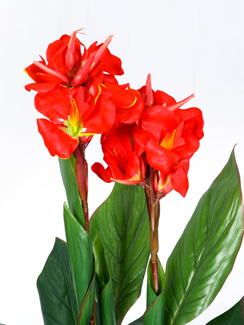ARTIFICIAL CANNA RED FLOWER- كنّا صناعى-زهور حمراء