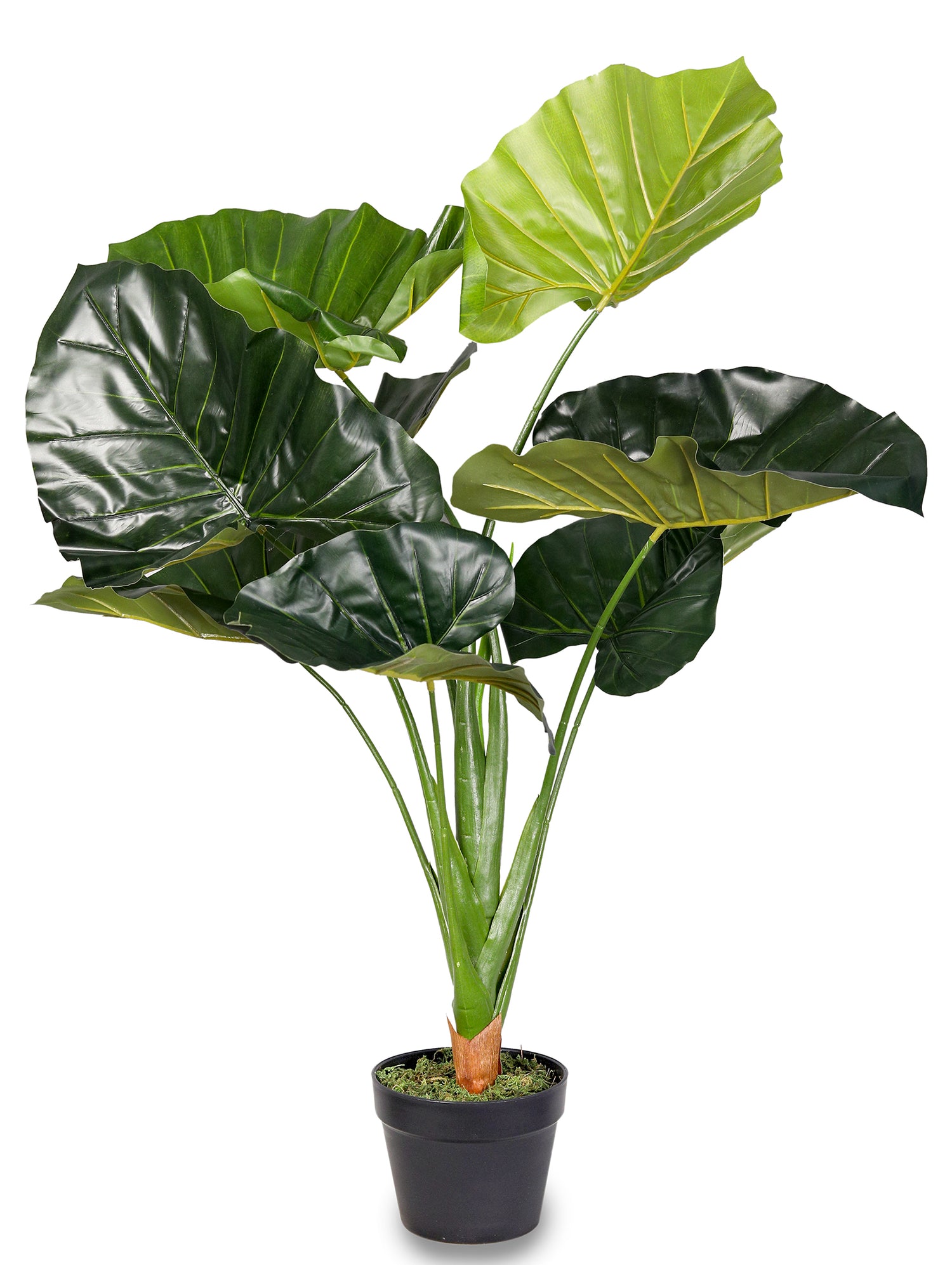 ARTIFICIAL ALOCASIA SMALL PLANT- الوكاسيا صناعى حجم صغير