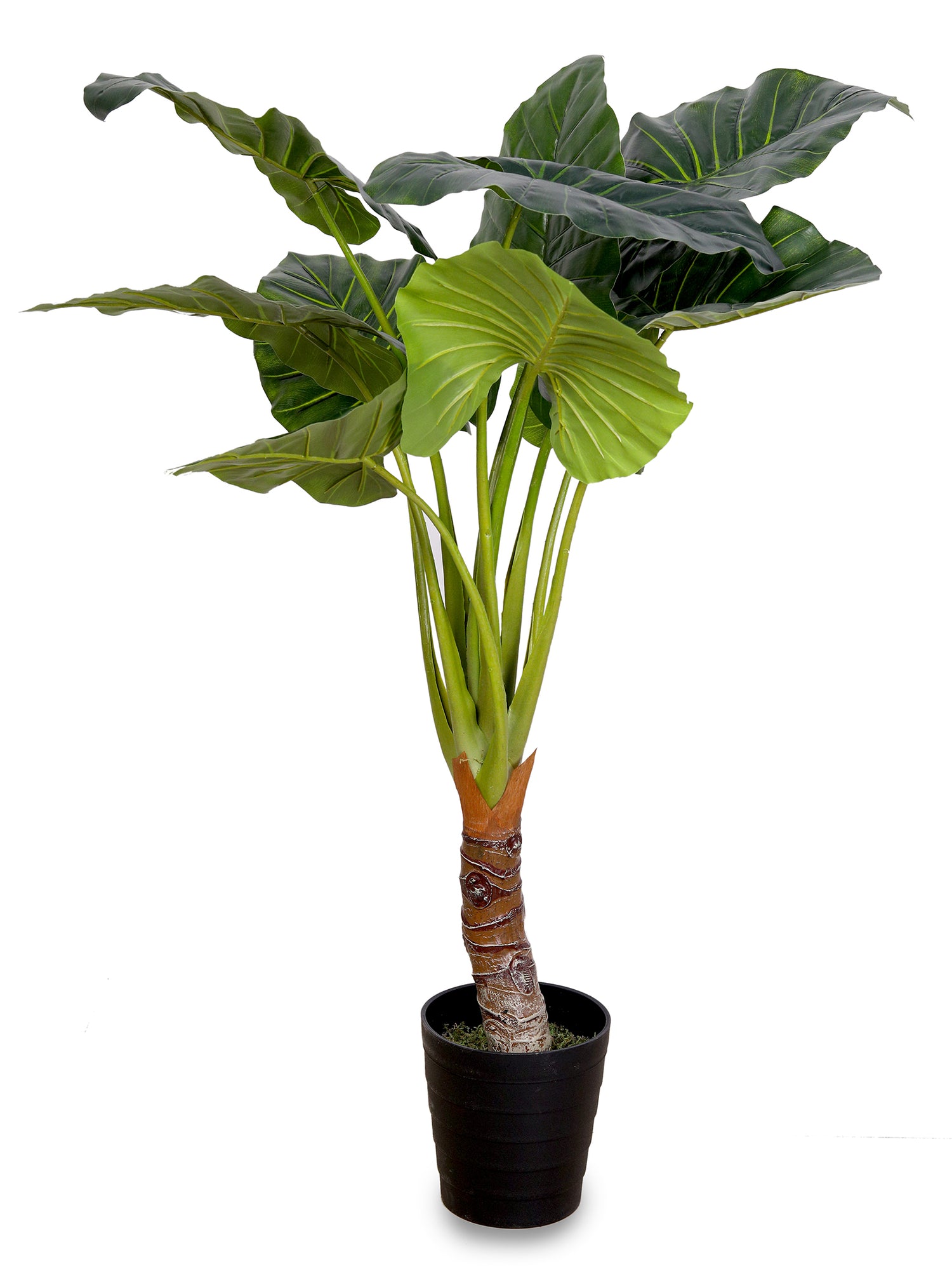 ARTIFICIAL ALOCASIA MEDIUM PLANT- الوكاسيا صناعى حجم وسط