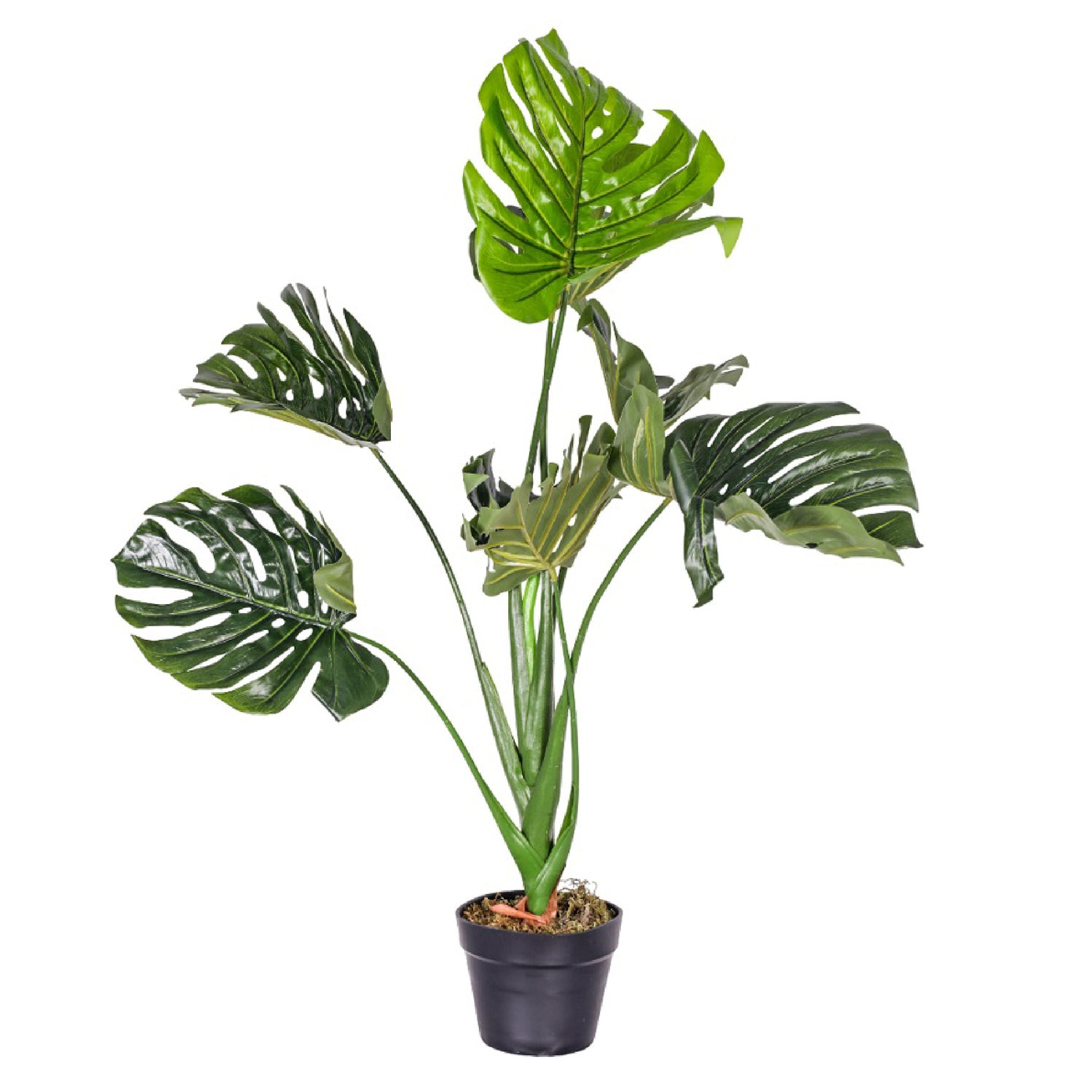 ARTIFICIAL MONSTERA SMALL PLANT - مونستيرا صناعى حجم صغير