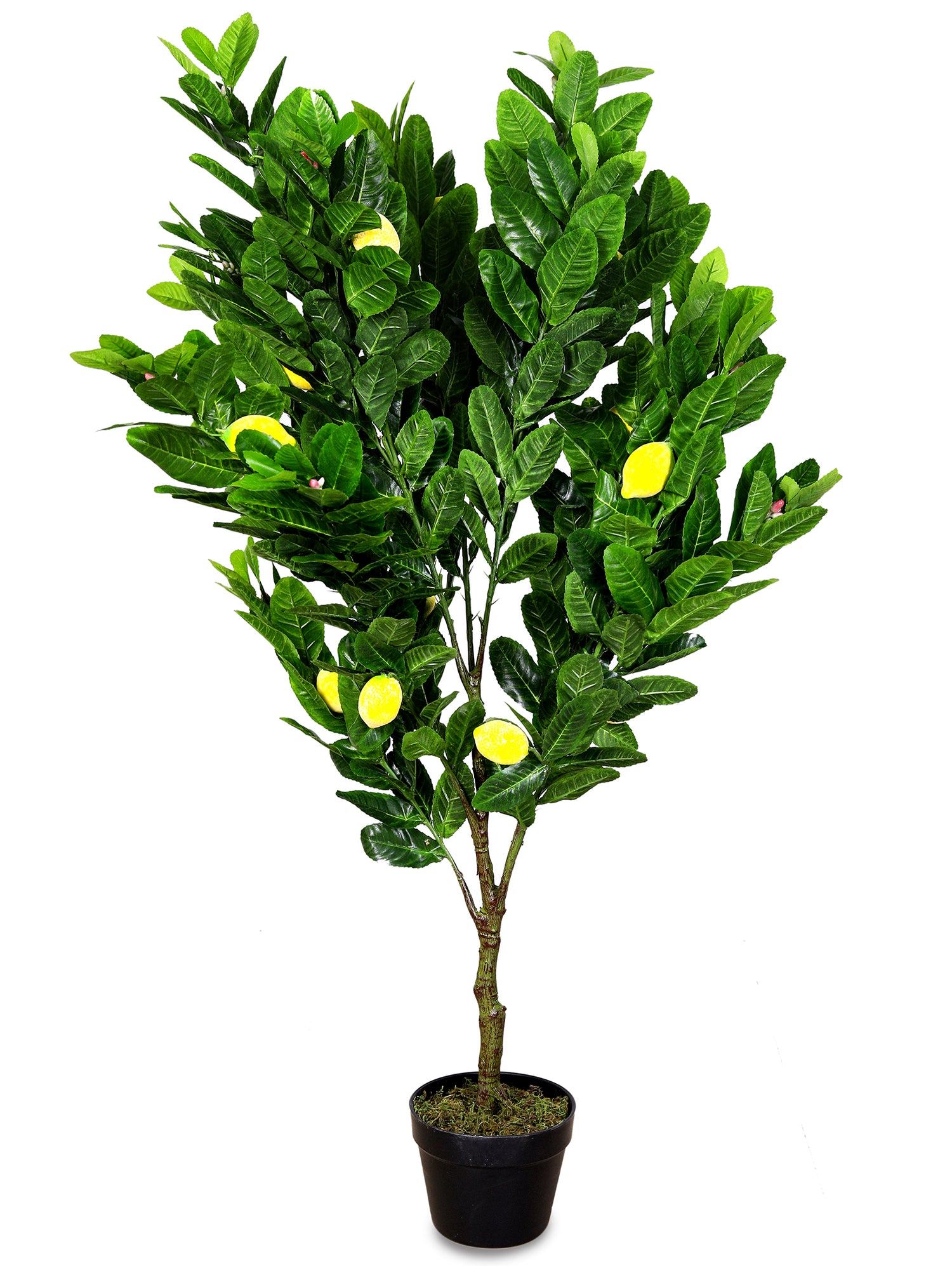 ARTIFICIAL LEMON FRUIT PLANT- ليمون صناعى