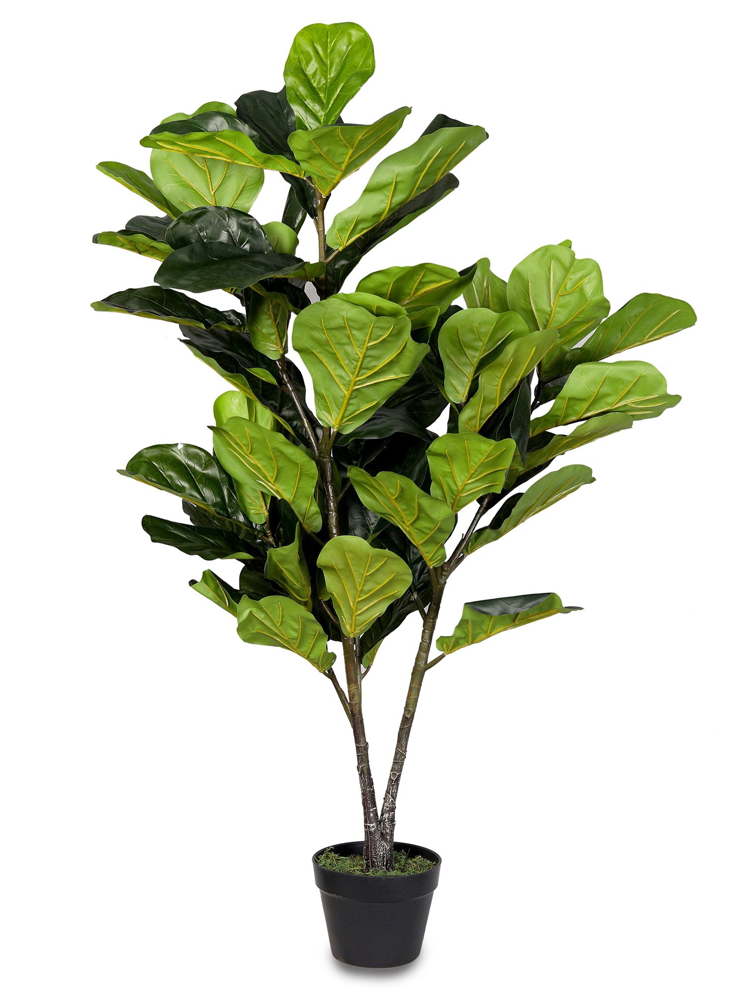 ARTIFICIAL FICUS LYRATA PLANT MEDIUM- فيكس ليراتا صناعى حجم وسط