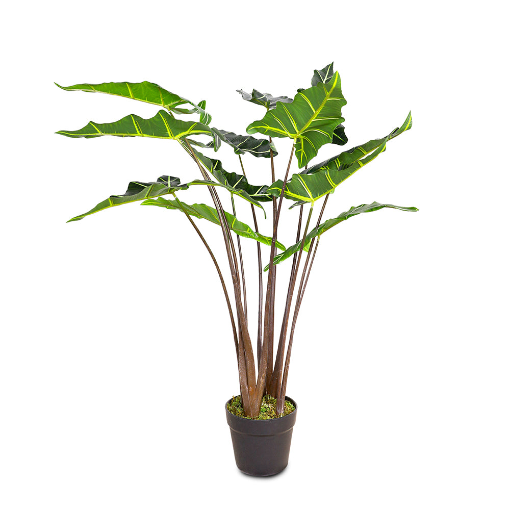 ARTIFICIAL SMALL ALOCASIA SARIAN PLANT- الوكاسيا صناعى حجم صغير