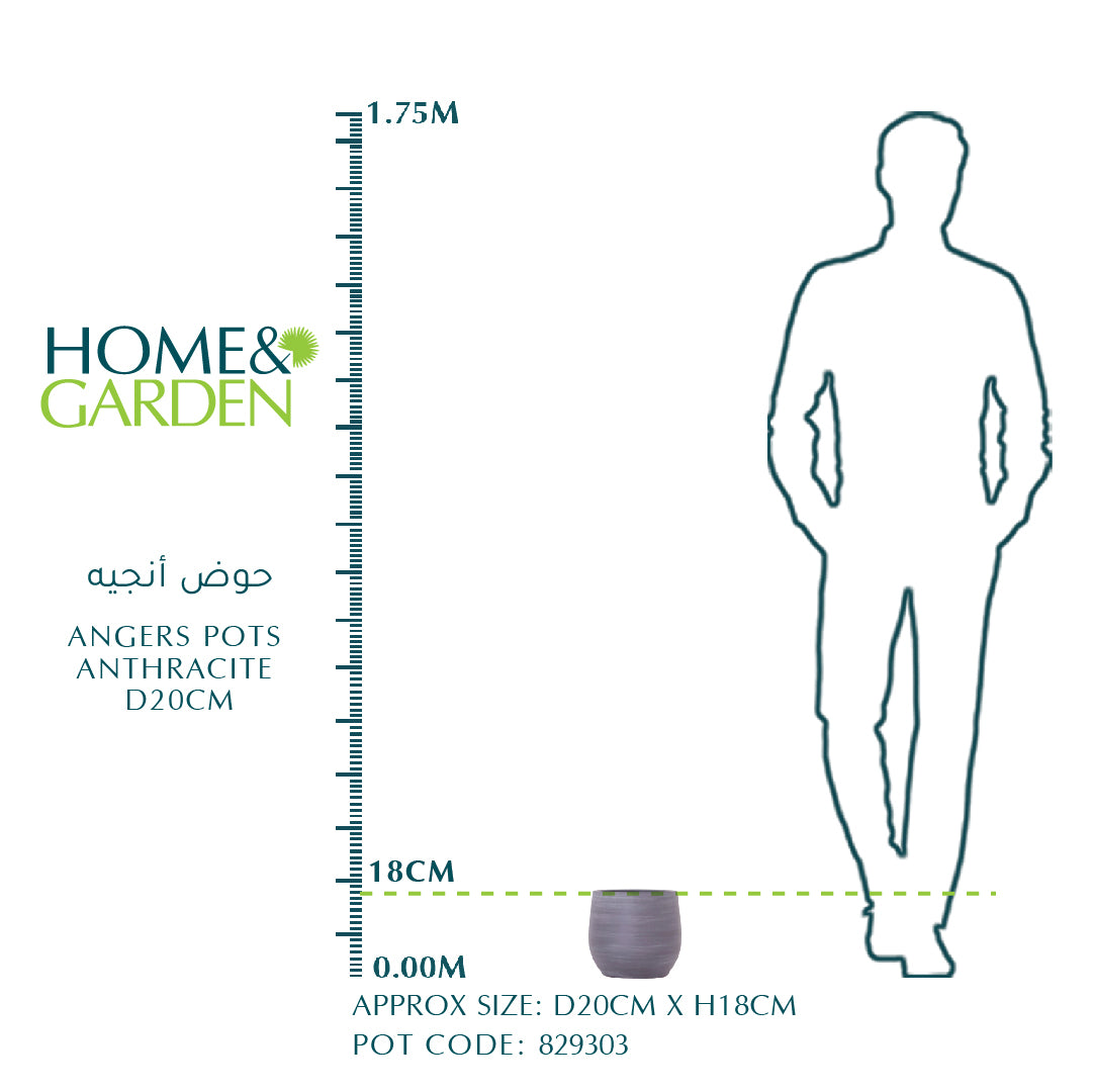 أنجيه قدور أنثراسيت D20CM - حوض أنجيه 