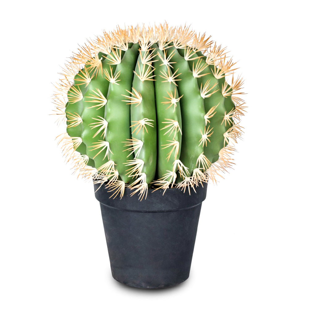 ARTIFICIAL BALL CACTUS LARGE- صبار صناعى كروى حجم كبير