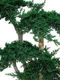 PRESERVED BONSAI JUNIPER -شجرة بونساي المجففة