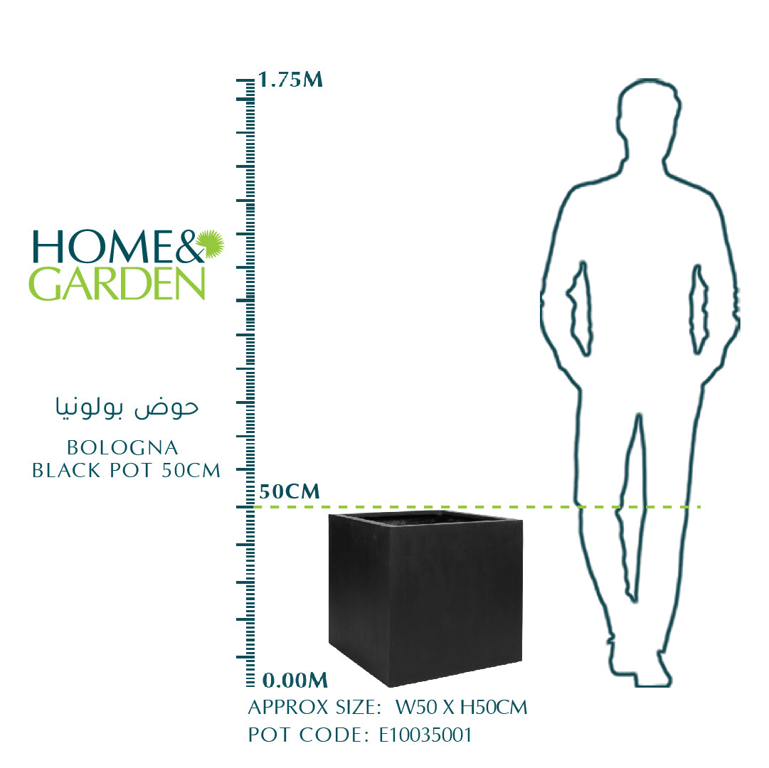 BOLOGNA SQUARE PLANTER BLACK  - حوض بولونيا