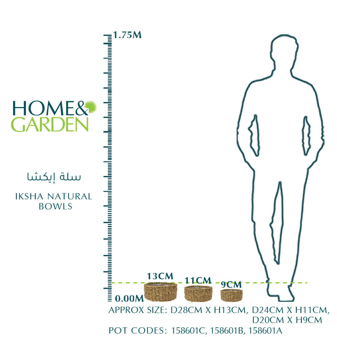 IKSHA NATURAL BOWLS - سلة إيكشا