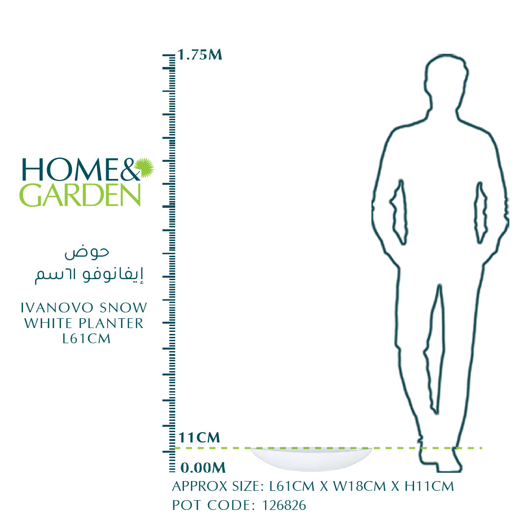 حوض إيفانوفو سنو وايت - L61 سم - حوض إيفانوفو 61 سم 