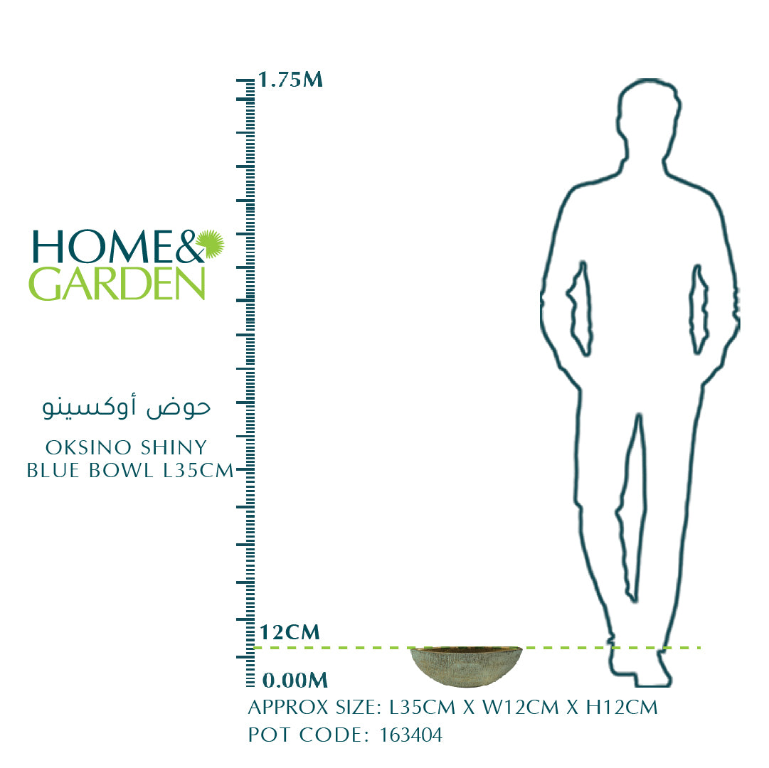 وعاء أوكسينو أزرق لامع مقاس L35 سم حوض أوكسينو