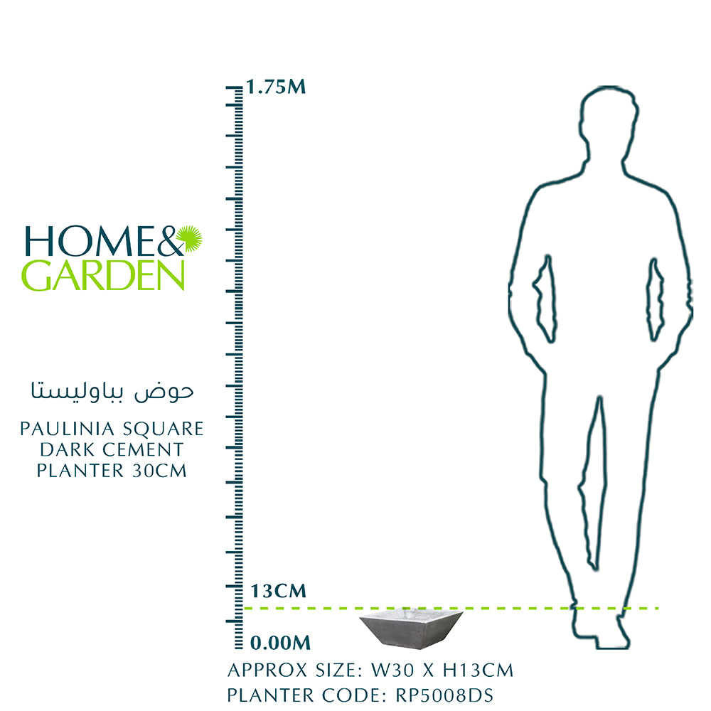 أصيص أسمنت غامق مربع من باولينيا 30 سم - حوض بباوليستا 