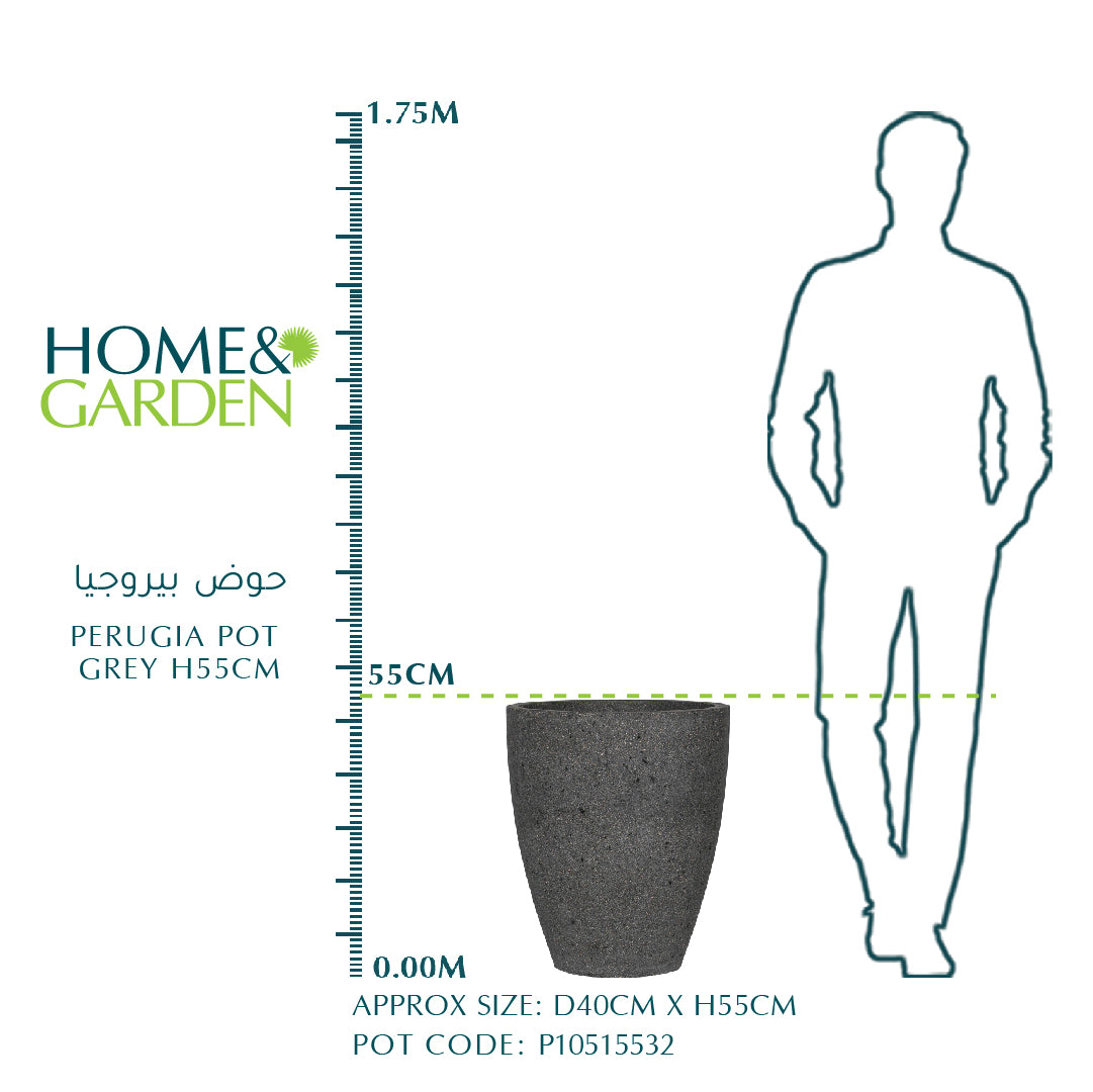 وعاء بيروجيا رمادي H55CM- حوض بيروجيا 