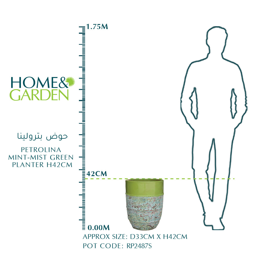 بيترولينا مينت ميست جرين بلانتر H42CM - حوض بترولينا