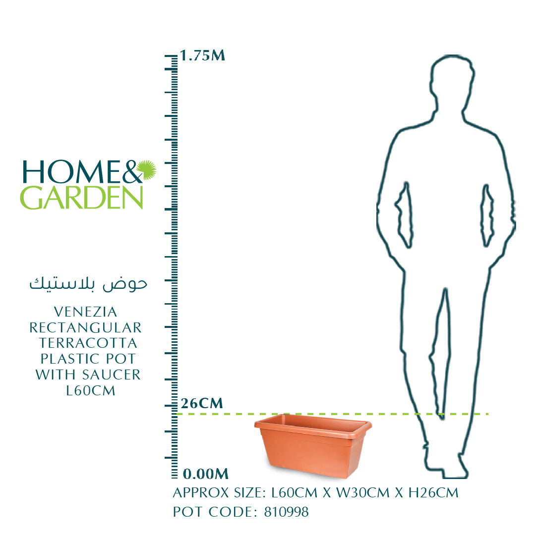 فينيسيا وعاء بلاستيك تراكوتا مستطيل مع صحن L59CM - حوض بلاستيك 