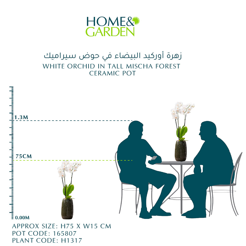 أوركيد أبيض في حوض سيراميك طويل بلون الأخضر